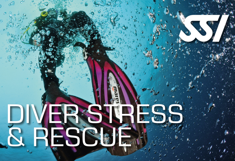 Book your PADI Rescue Diver course