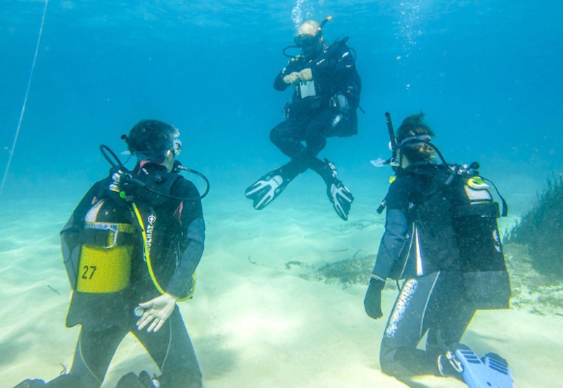 Cursos de buceo en Palma, Colonia de Sant Jordi y Cabrera (Reserva Marina)