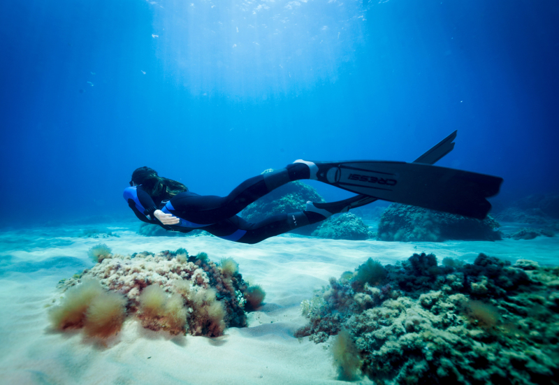 Excursiones de buceo en Mallorca y Cabrera (Reserva Marina)